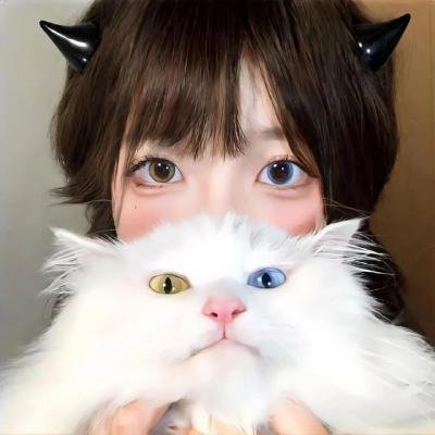 飞鱼